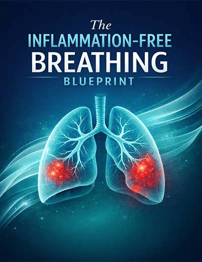 The Inflammation Free Breathing Blueprint- Bonus 2